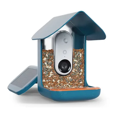 Bird Buddy Pro Solar product photo