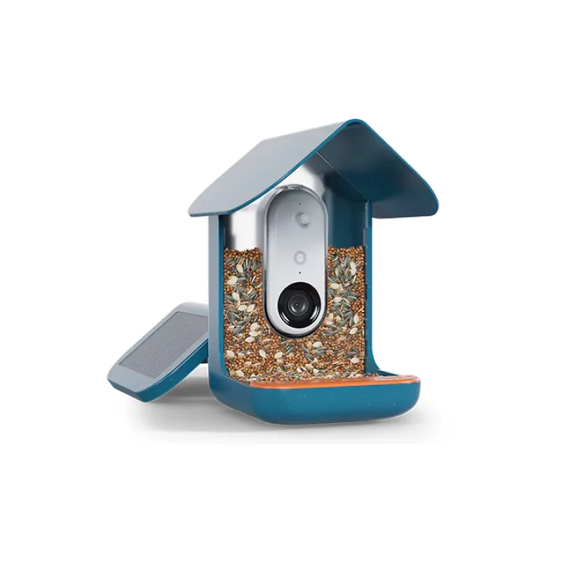 Bird Buddy Pro Solar product photo