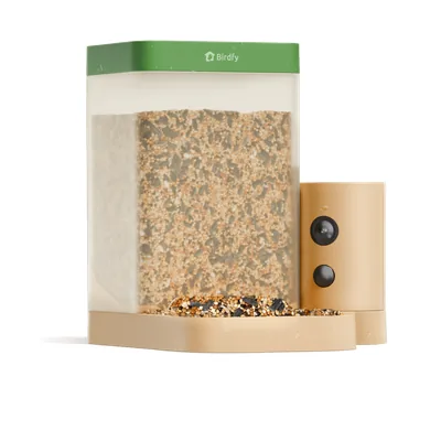 Birdfy Feeder Rookie product photo