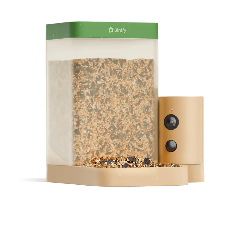 Birdfy Feeder Rookie product photo