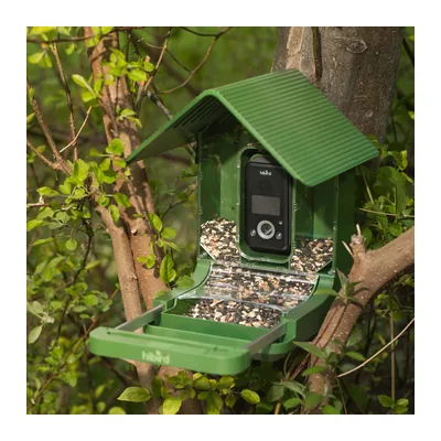 Hibird (Camojojo) 4K Smart Bird Feeder product photo